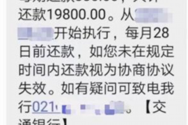 城厢为什么选择专业追讨公司来处理您的债务纠纷？